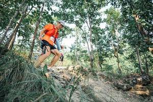 BIB: 
                            <button type="button" onclick="openModal(25984086)" class="btn btn-primary btn-sm float-right btn-popup" data-toggle="modal" data-target=".modal-high-quality">
                        <i class="fas fa-shopping-cart"></i> Add to Cart
                    </button>
                                            <button type="button" onclick="isThisMe(25984086, true)" class="btn btn-success btn-sm float-right btn-popup btn-isme hidden" data-toggle="tooltip" data-placement="bottom" title="นี่คือรูปของคุณใช่ไหม คลิกที่นี่เพื่อเอาเข้าอัลบั้ม">
                        <i class="fas fa-plus"></i> Add to album
                    </button>
                    <button type="button" onclick="isThisMe(25984086, false)" class="btn btn-warning btn-sm float-right btn-popup btn-isnotme hidden">
                        <i class="fas fa-ban"></i> Remove from album
                    </button>